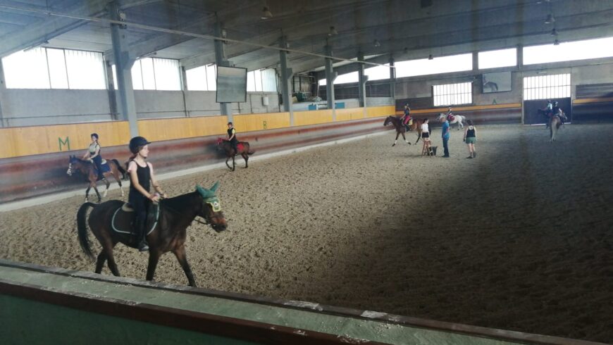 Lezioni equitazione