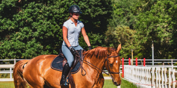 Scuola di Equitazione